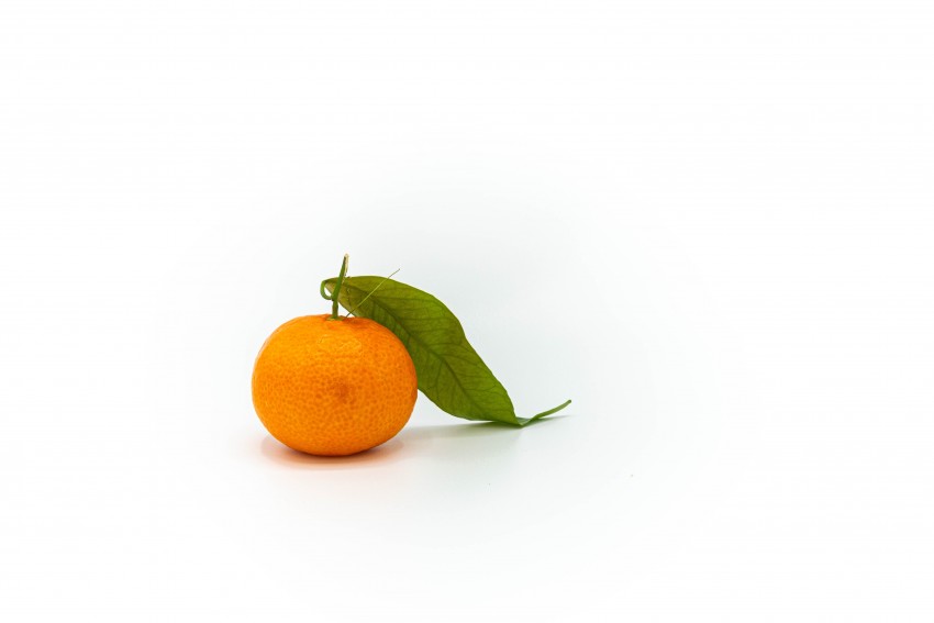 Citrus-n-Leaf