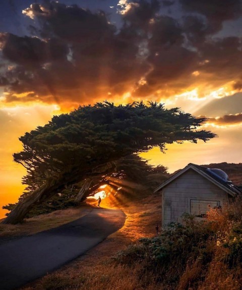 Point Reyes California